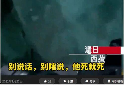 细思极恐的爆料视频,细思极恐的爆料视频深度解析